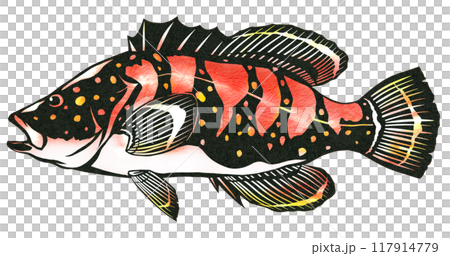 美味しい白身魚キジハタの切り絵イラスト 117914779