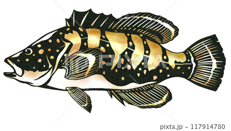 高級魚キジハタの切り絵イラスト 117914780