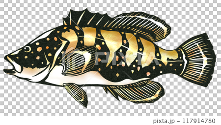 高級魚キジハタの切り絵イラスト 117914780