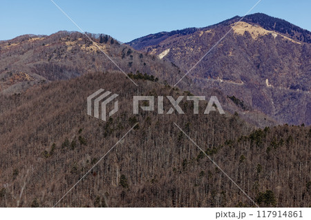 滝子山から見る大菩薩連嶺・ハマイバ丸と白谷ノ丸・黒岳 滝子山から見る大菩薩連嶺・ハマイバ丸と白谷ノ丸・黒岳 117914861