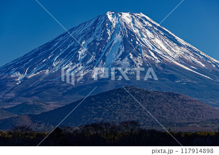 精進湖湖畔から見る冬の富士山 精進湖湖畔から見る冬の富士山 117914898