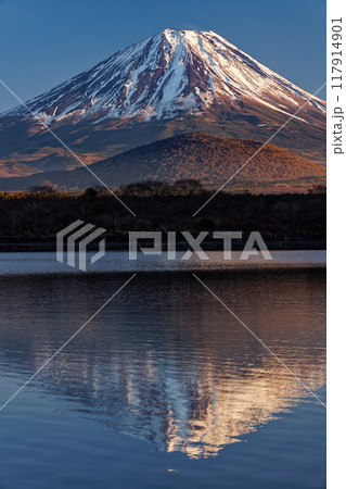 精進湖湖畔から見る夕照の富士山 精進湖湖畔から見る夕照の富士山 117914901