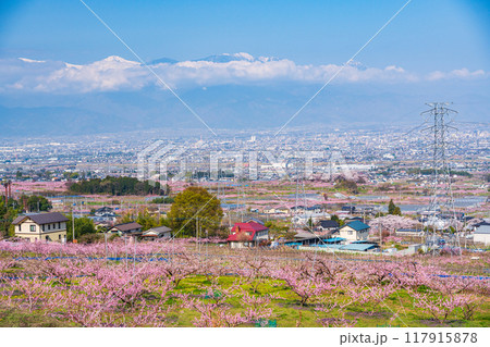 【山梨県】笛吹市の桃源郷(南アルプス遠望) 【山梨県】笛吹市の桃源郷(南アルプス遠望) 117915878