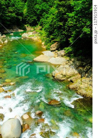 初夏の中津川(縦) 初夏の中津川(縦) 117915914