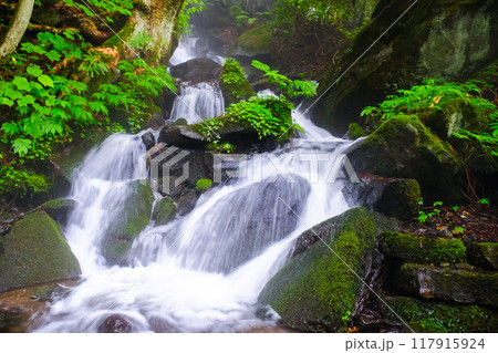 見玉不動尊の滝 117915924