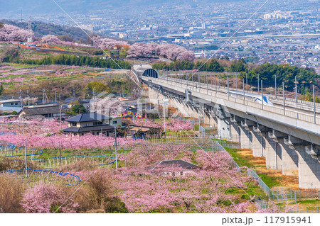 【山梨県】桃源郷の実験線路を走るリニアモーターカー 【山梨県】桃源郷の実験線路を走るリニアモーターカー 117915941