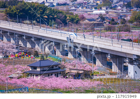 【山梨県】桃源郷の実験線路を走るリニアモーターカー 【山梨県】桃源郷の実験線路を走るリニアモーターカー 117915949