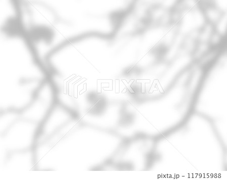 leaf shadows on a white wall leaf shadows on a white wall 117915988
