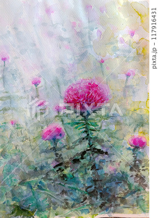 アザミの花を描いた日本画のイラスト素材 [117916431] - PIXTA