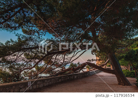 Krk Croatia 28.06.24A small square near the walls of the old fortress Krk Croatia 28.06.24A small square near the walls of the old fortress 117916534