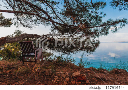 Krk Croatia A wooden chair under an old pine tree near the sea Krk Croatia A wooden chair under an old pine tree near the sea 117916544