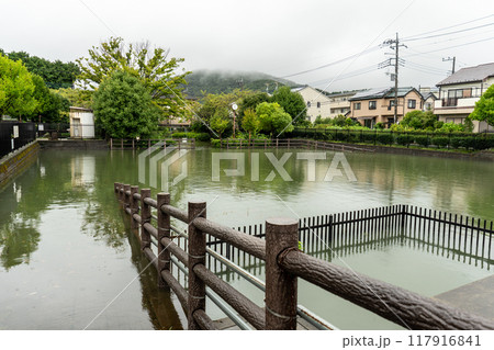 大雨で水浸しになった地域の公園 大雨で水浸しになった地域の公園 117916841