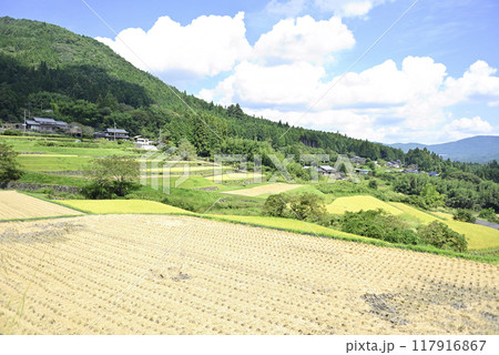 坂折棚田の稲刈り 坂折棚田の稲刈り 117916867