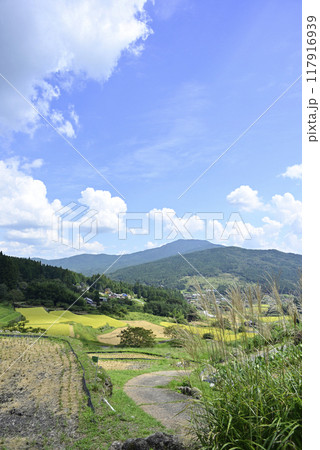 坂折棚田の稲刈り 117916939