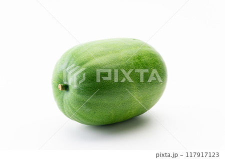 冬瓜 117917123