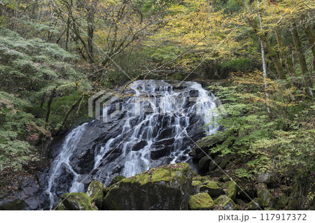 紅葉の江竜田の滝 117917372