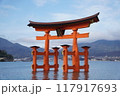 海上に立つ大鳥居 117917693