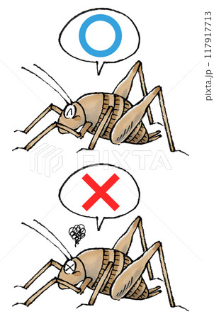 判定カマドウマセット(マルバツ) 117917713