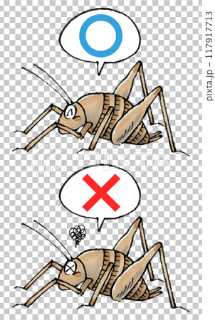 判定カマドウマセット(マルバツ) 117917713