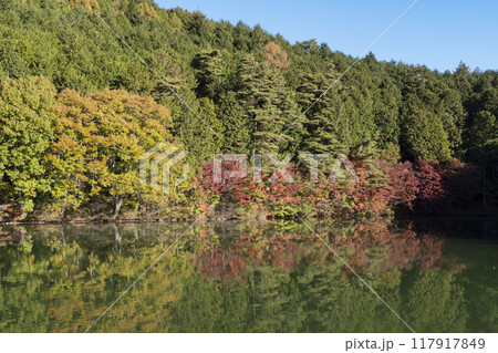 紅葉の南伊奈ヶ湖 紅葉の南伊奈ヶ湖 117917849