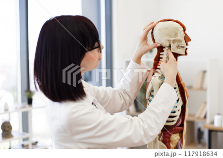 Medical student studying human skeleton model in classroom 117918634