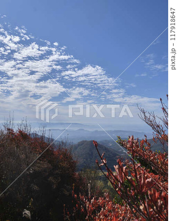 真っ赤な紅葉と青空 真っ赤な紅葉と青空 117918647