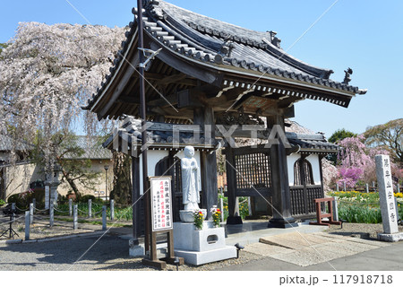 安国寺へ行きました　＃22 117918718