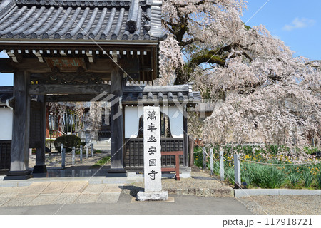 安国寺へ行きました #25 安国寺へ行きました #25 117918721