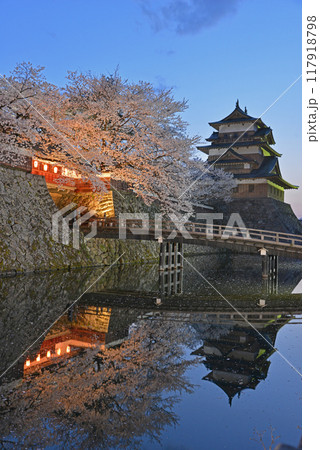 高島城と桜 長野県諏訪市 高島城と桜 長野県諏訪市 117918798