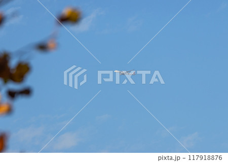 青空を飛ぶ飛行機 青空を飛ぶ飛行機 117918876