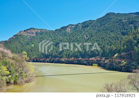 【蔵王橋】 和歌山県有田郡有田川町楠本 117918925