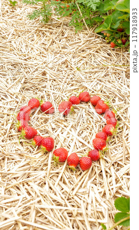 Heart-Shaped Fresh Strawberries on Straw Background Ideal for Valentine s Day or Any Occasion 117918933