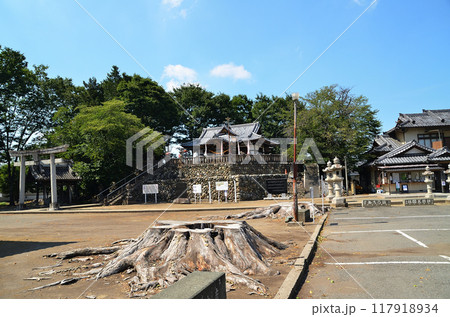 群馬県藤岡市藤岡の子育ての神様　富士浅間神社 117918934