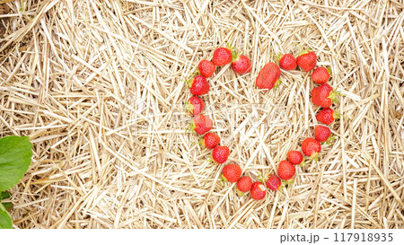 Heart-Shaped Fresh Strawberries on Straw Background Ideal for Valentine s Day or Any Occasion 117918935