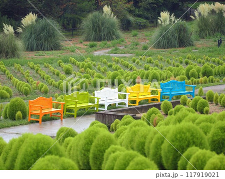 国営讃岐まんのう公園2024年8月【香川県仲多度郡まんのう町】8 117919021