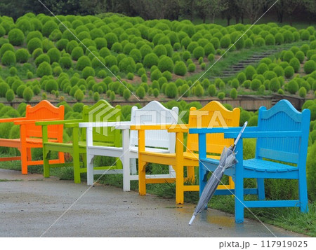 国営讃岐まんのう公園2024年8月【香川県仲多度郡まんのう町】4 国営讃岐まんのう公園2024年8月【香川県仲多度郡まんのう町】4 117919025