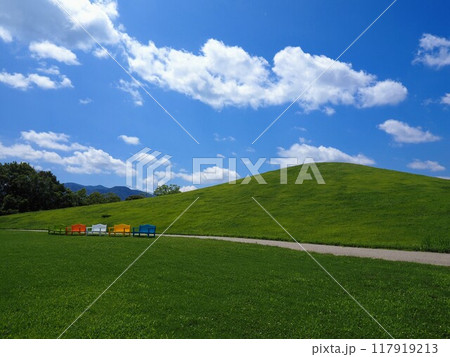 国営讃岐まんのう公園2024年7月【香川県仲多度郡まんのう町】30 国営讃岐まんのう公園2024年7月【香川県仲多度郡まんのう町】30 117919213