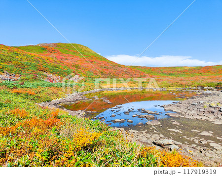 秋の焼石岳登山（泉水沼と焼石岳山頂） 117919319