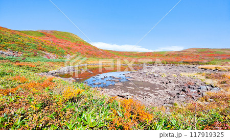 秋の焼石岳登山（泉水沼と焼石岳山頂） 117919325