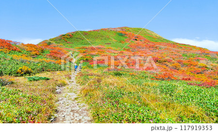 秋の焼石岳登山(泉水沼~焼石岳山頂) 秋の焼石岳登山(泉水沼~焼石岳山頂) 117919353