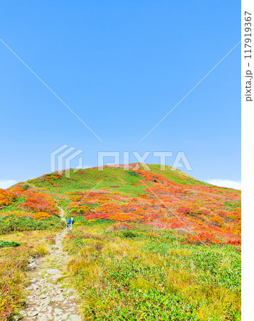 秋の焼石岳登山（泉水沼～焼石岳山頂） 117919367