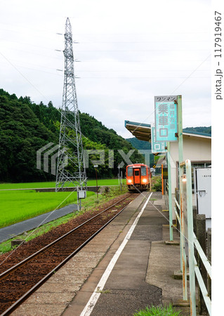 一乗谷駅に入線する普通列車 一乗谷駅に入線する普通列車 117919467