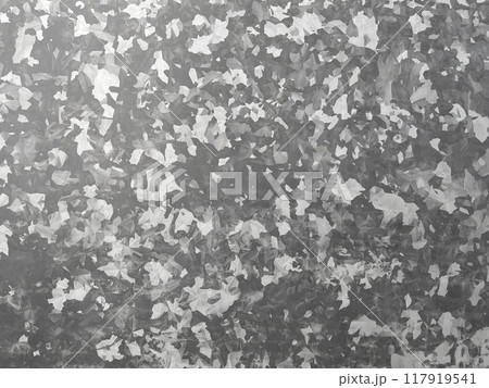 明るいグレーの亜鉛メッキ鋼板の結晶模様の表面の横長の背景画像 明るいグレーの亜鉛メッキ鋼板の結晶模様の表面の横長の背景画像 117919541