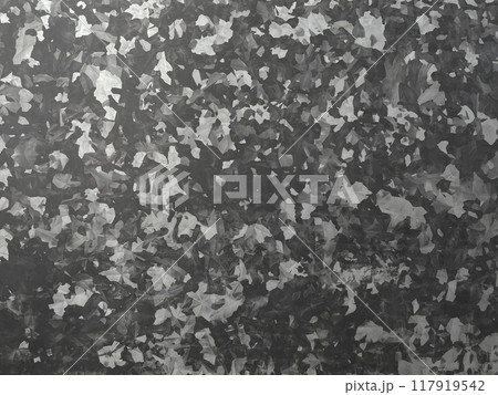 グレーの亜鉛メッキ鋼板の結晶模様の表面の横長の背景画像 117919542