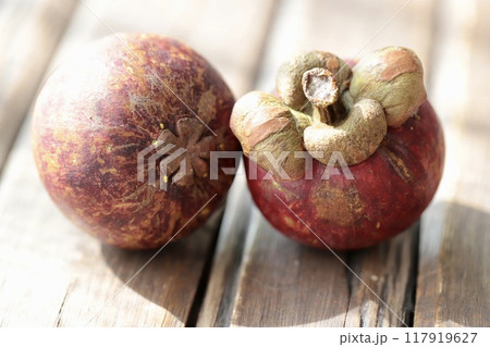 タイ産のマンゴスチンのお尻の花びら トロピカルフルーツ タイ産のマンゴスチンのお尻の花びら トロピカルフルーツ 117919627