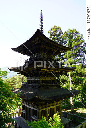 信州の鎌倉安楽寺 117919794