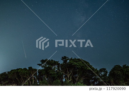 ペルセウス座流星群三浦半島2024 117920090
