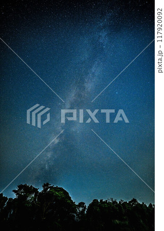 ペルセウス座流星群三浦半島2024 ペルセウス座流星群三浦半島2024 117920092