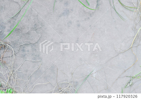 old cement wall or old brown wall,  brown background or  brown wallpaper or old  brown floor or old beige wall 117920326