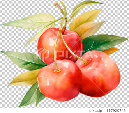 Cherry 117920743